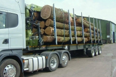 15871865_1353598434690934_8007502757622678940_n